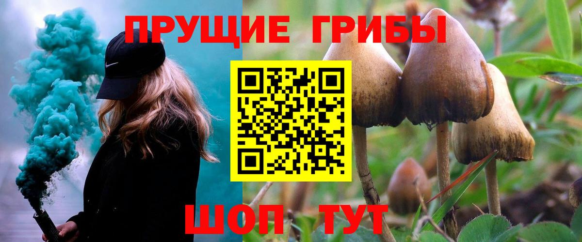 Галлюциногенные грибы мухоморы  Псилоцибиновые грибы Psilocybe  купить наркоту  Старая Купавна  Вход с VPN 